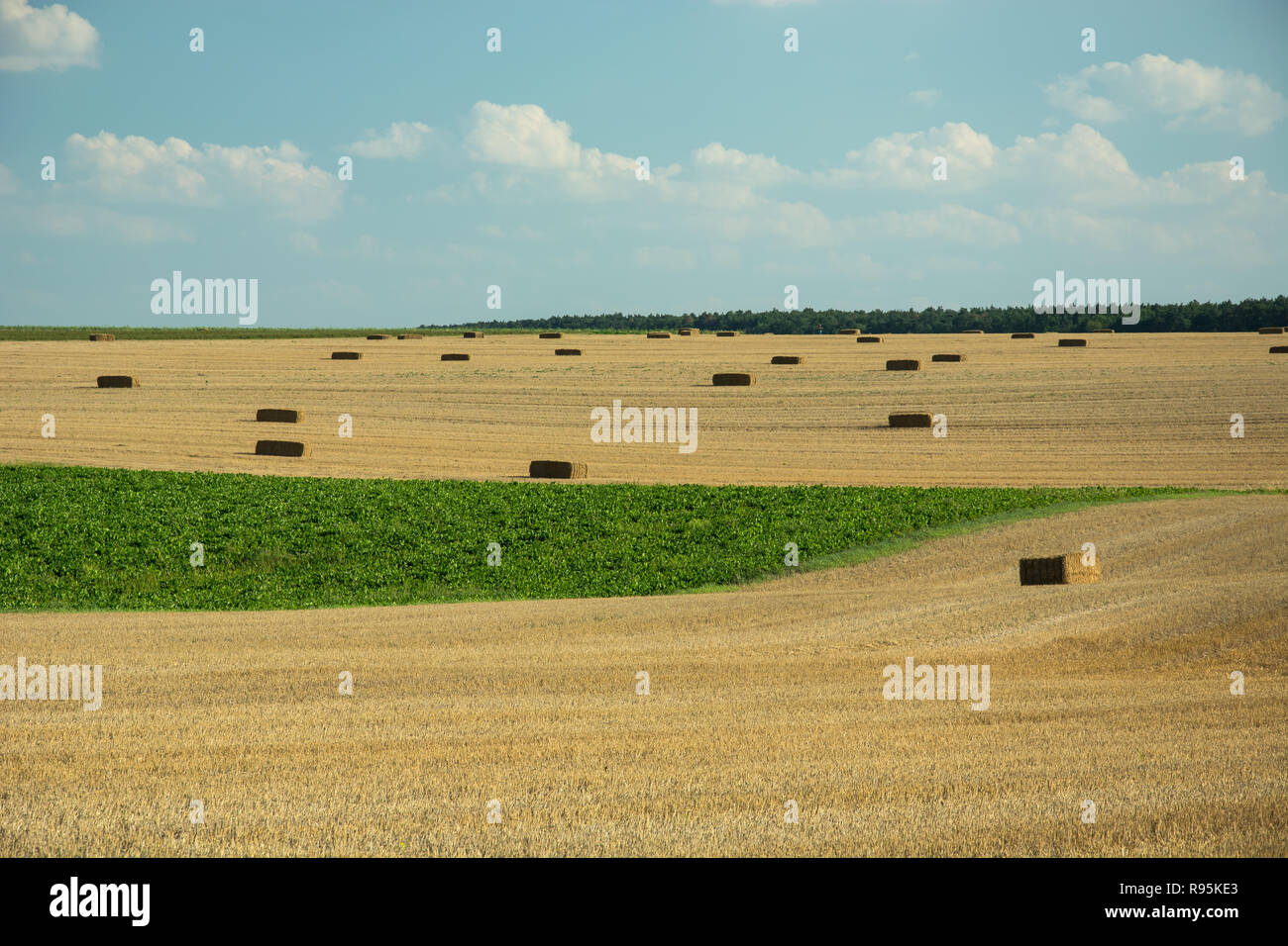 Field with bales of hay, horizon and white clouds on blue sky Stock ...