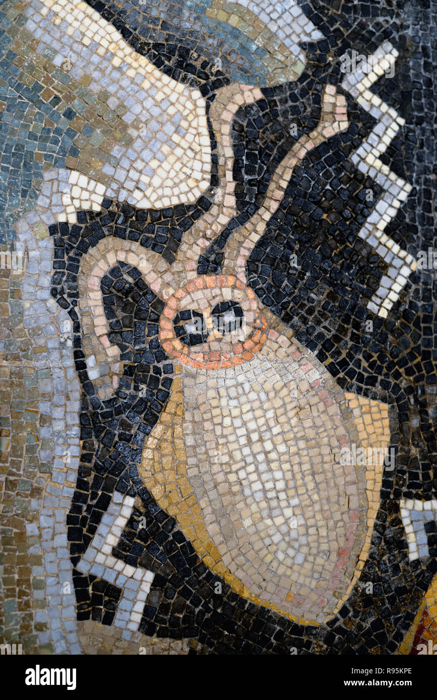 Roman Floor Mosaic (c3rd-c4th) of Cuttlefish & Mediterranean Seabed from Ancient Roman City of Ammaedara Haidra Tunisia Stock Photo