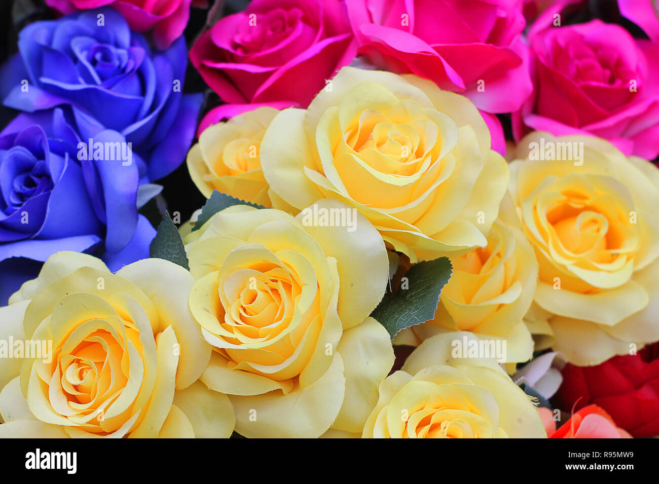 a background with different colored roses Stock Photo - Alamy