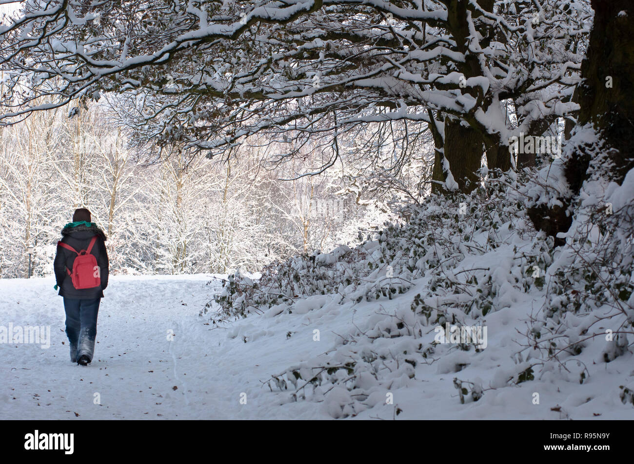 Woman walking along a snow covered path in Redditch, Worcestershire. UK Stock Photo