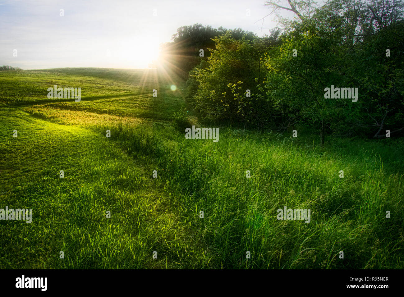 Late Day Sunburst, Hill and Meadow, Montgomery County, Pennsylvania Stock Photo