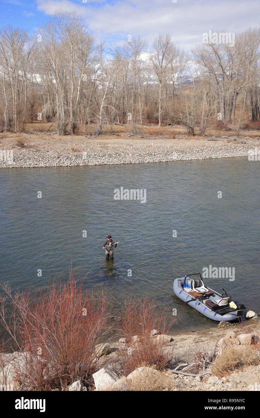 Fly fisherman casting for steelhead trout on the Salmon River in Idaho, USA Stock Photo
