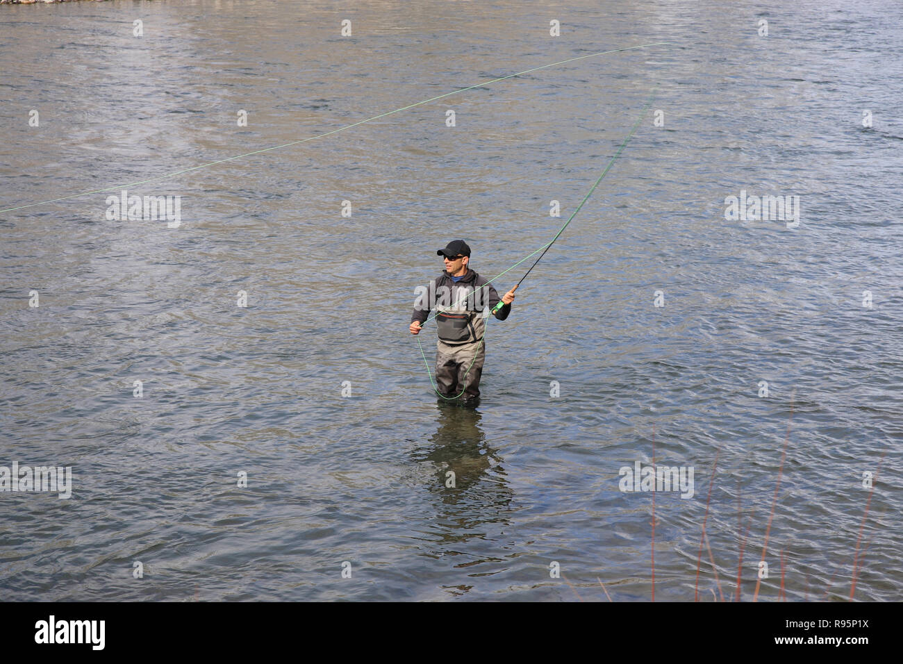 Fly fisherman casting for steelhead trout on the Salmon River in Idaho, USA Stock Photo