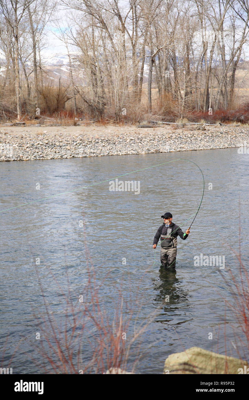 Fly fisherman casting for steelhead trout on the Salmon River in Idaho