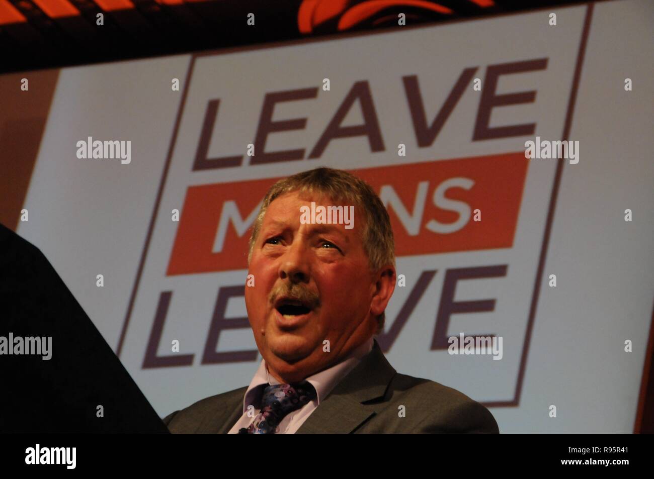 Ulster DUP MP Sammy Wilson, at the Leave Means Leave campaign, London Stock Photo