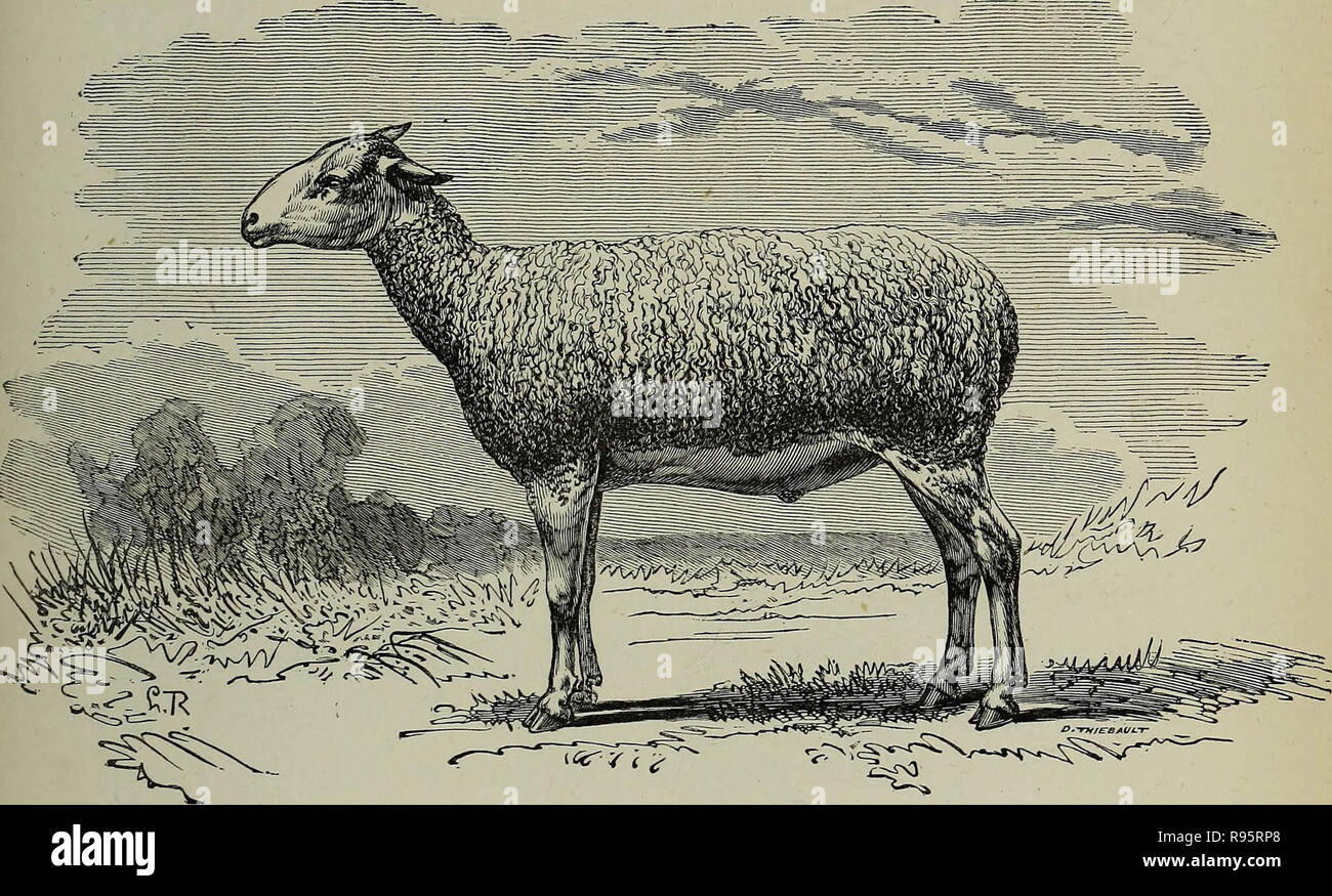 'The corn and cattle producing districts of France' (1878) Stock Photo