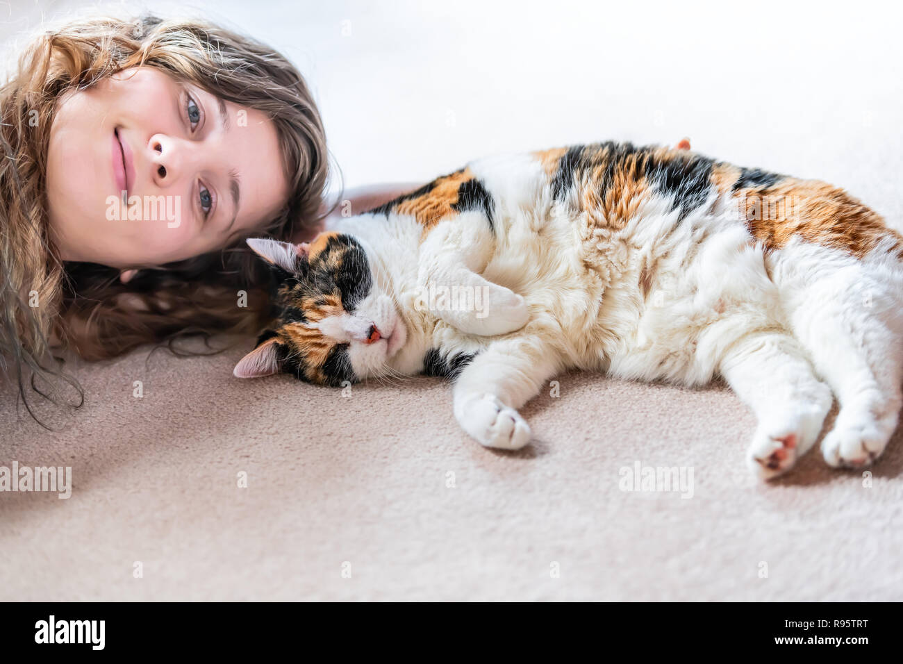 Closeup of calico cat side, paws lying on carpet floor together with happy, smiling woman, female person owner, rubbing, petting back in home, house,  Stock Photo