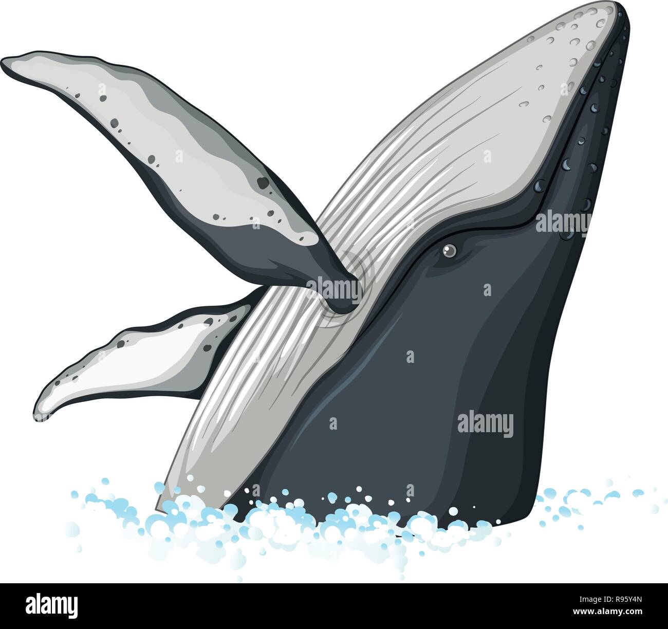 Half body of humpback whale illustration Stock Vector Image & Art - Alamy