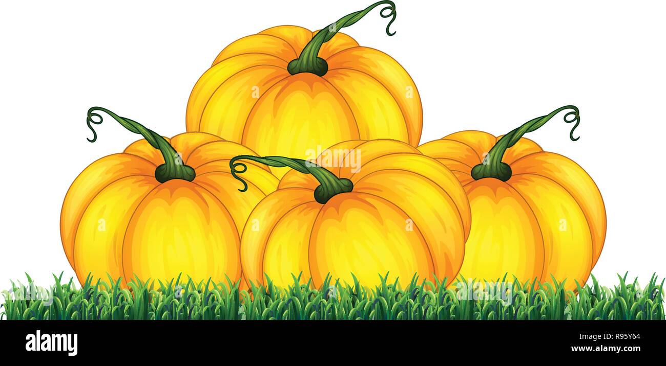 Isolated pumpkin on white background illustration Stock Vector Image ...