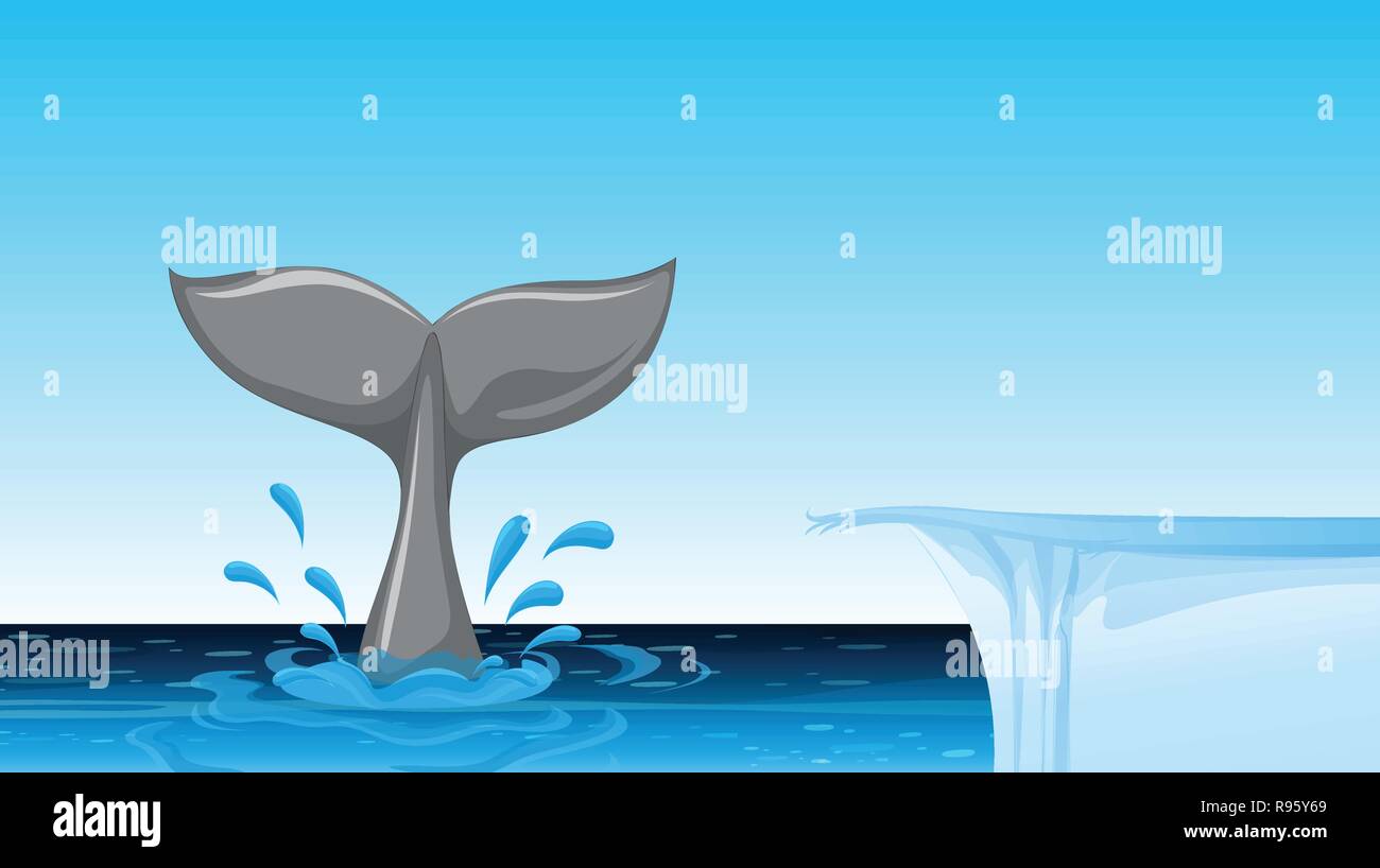 Whale tail on the ocean illustration Stock Vector Image & Art - Alamy