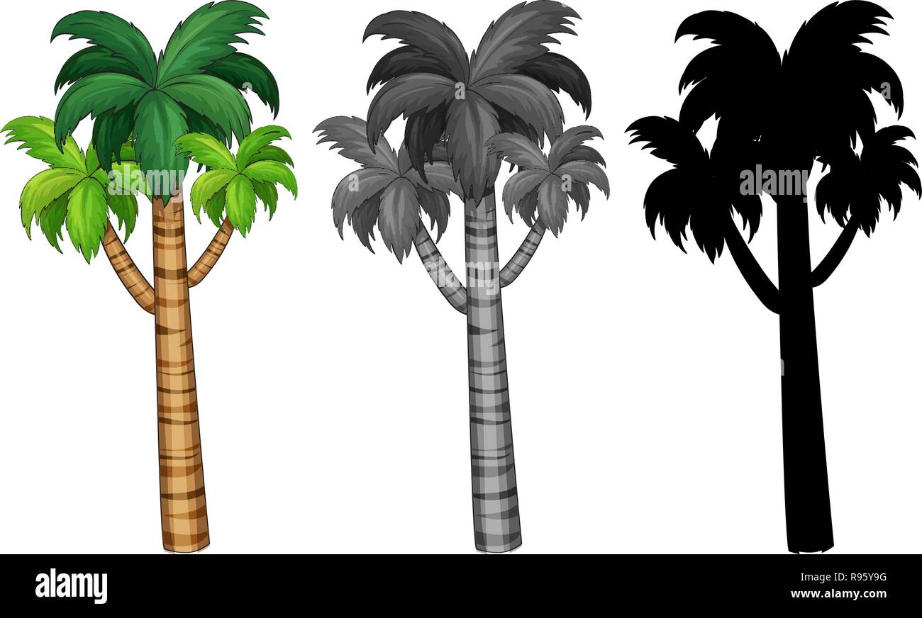 Set of palm tree  illustration Stock Vector