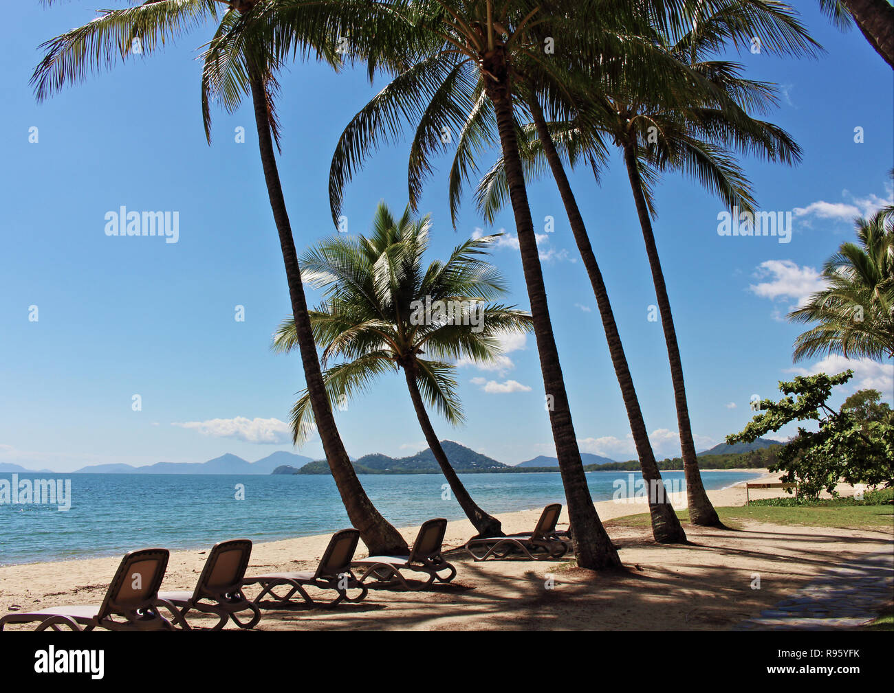 Relaxing Palm Cove Beach view. The best beach in Cairns, Far North Queensland, Australia Stock Photo