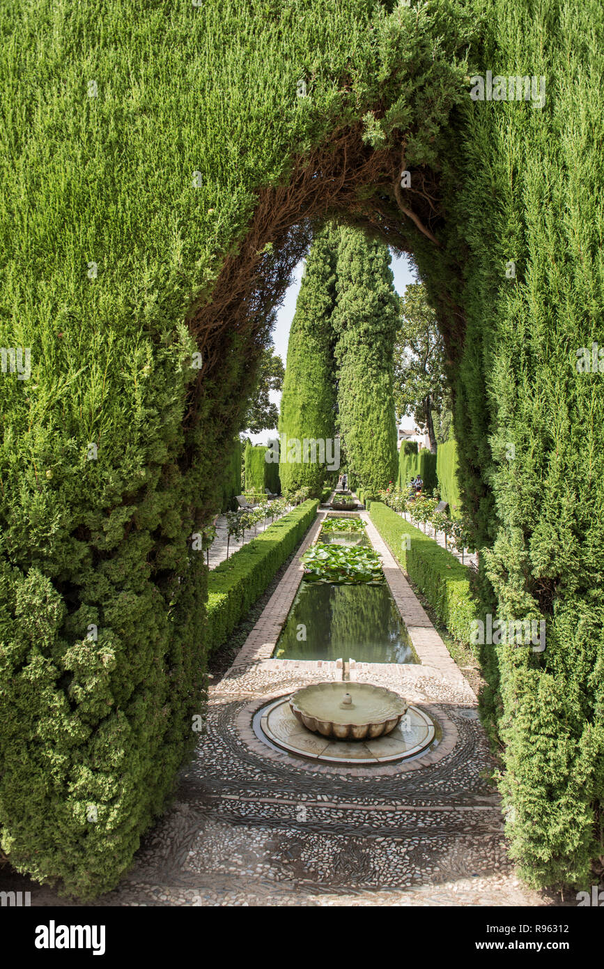 Beautiful lush green garden inside Alhambra Palace in Granada, Spain