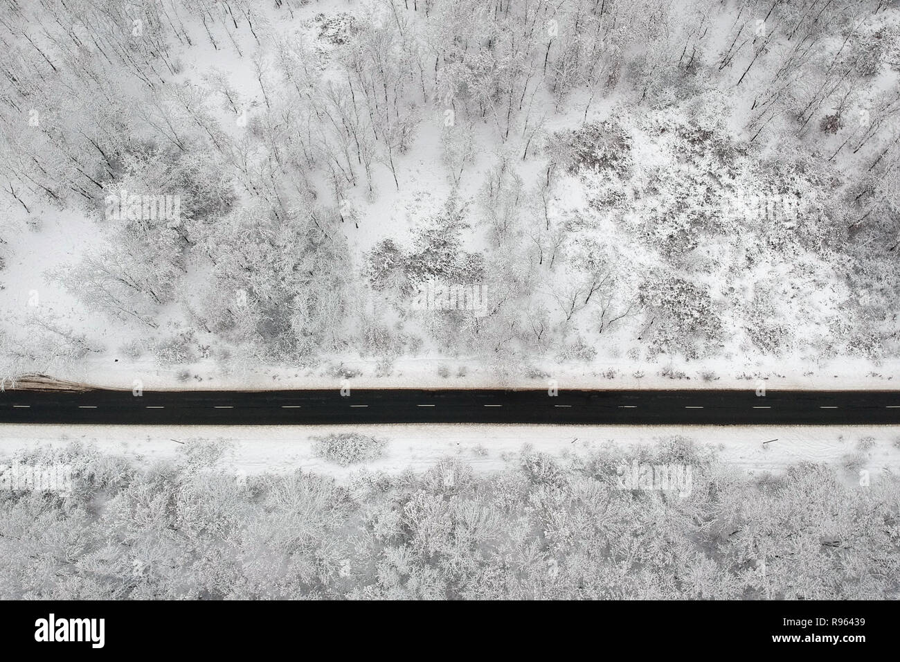 Winter view of a road in the middle of the forest covered with snow ...