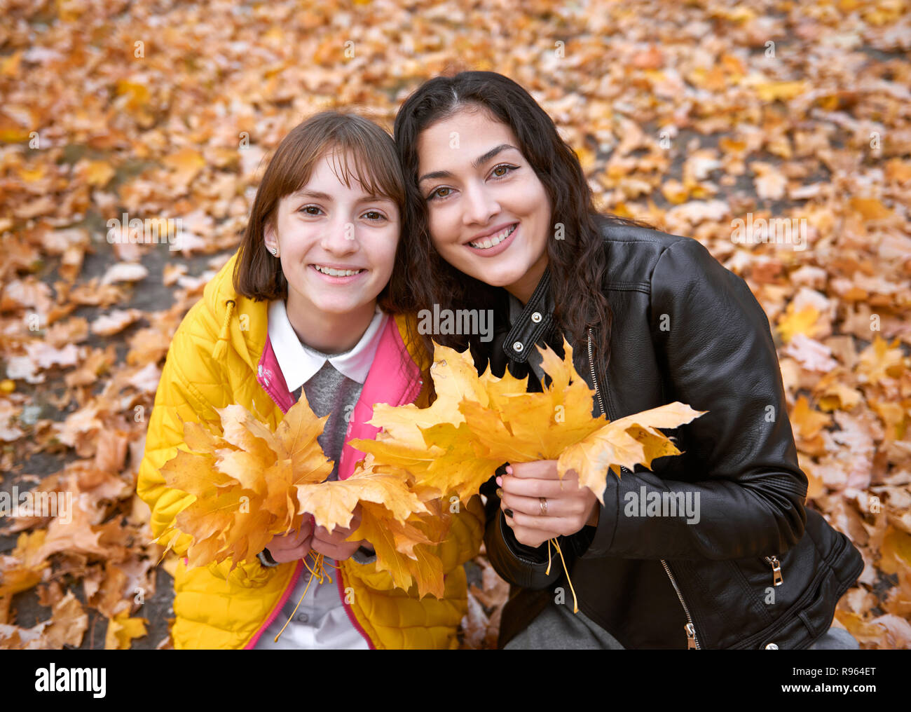 Pretty woman and teen girl are posing with bunch of maple's leaves in ...