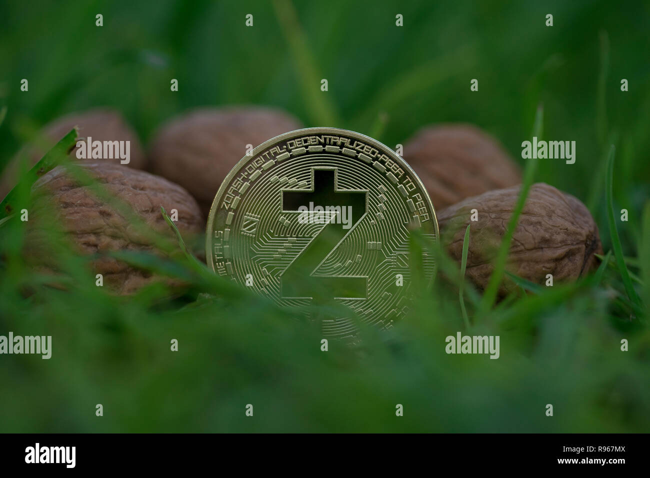 Z-Cash cryptocurrency physical coin placed on grass with walnuts Stock Photo