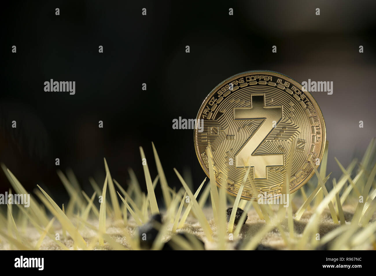 Z-Cash cryptocurrency physical coin placed between cactus spikes Stock Photo