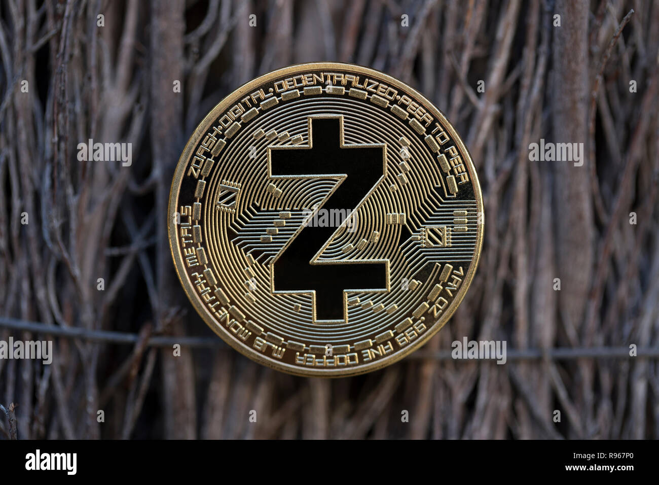 Z-Cash cryptocurrency physical coin placed on bound branches Stock Photo