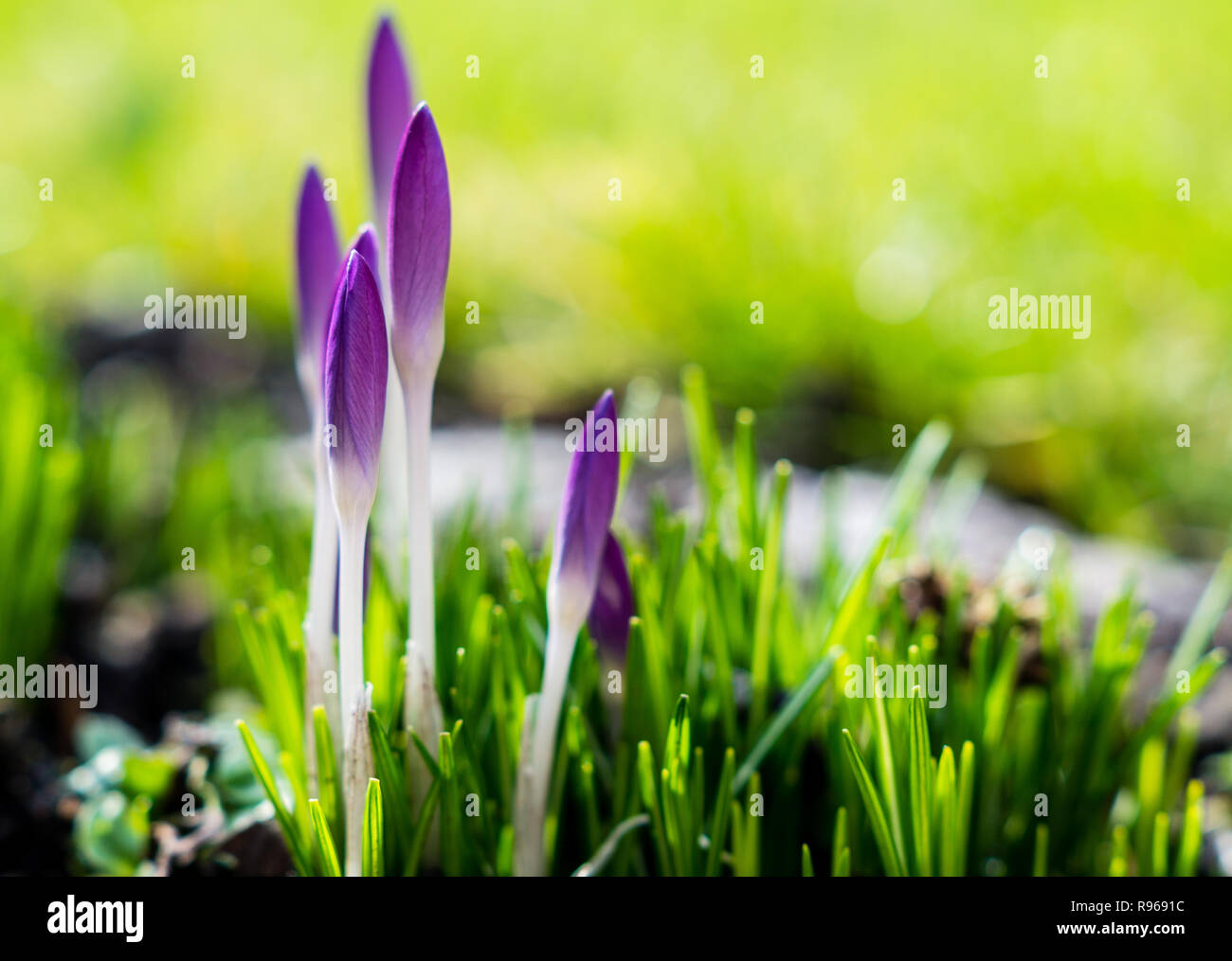Awaken growth hi-res stock photography and images - Alamy