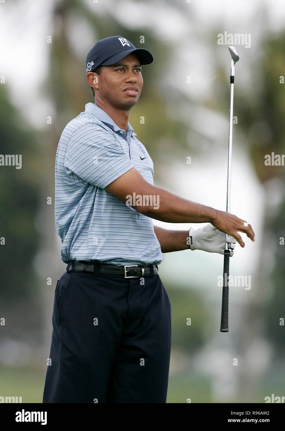 Hat Tiger Face High Resolution Stock Photography And Images Alamy