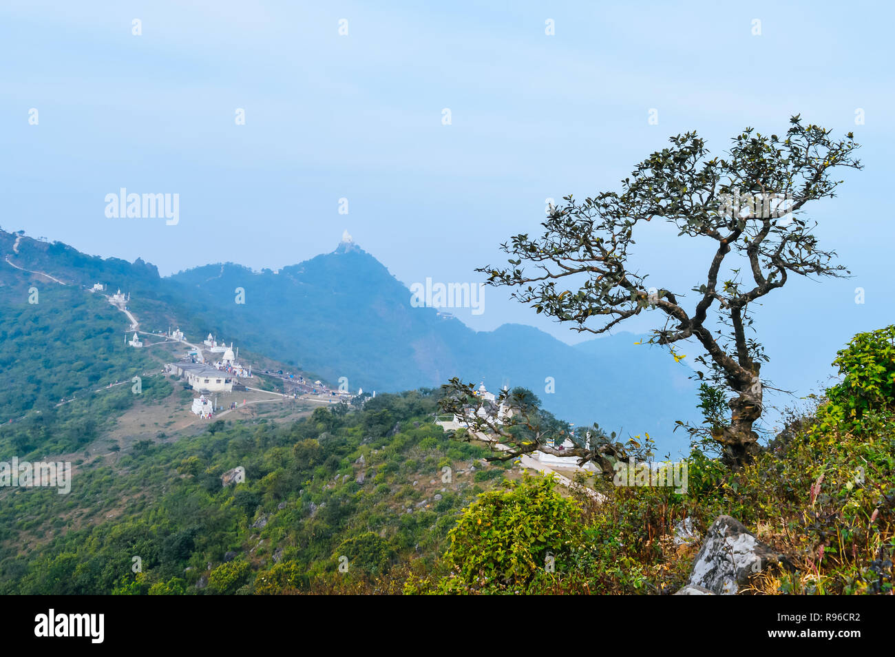 Green Hillside Mountain In The Background Stock Photos Green