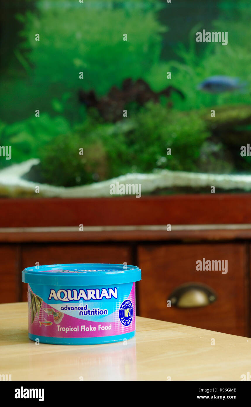 Aquarian Pet Tropical Freshwater Fish Flake Food, UK Stock Photo