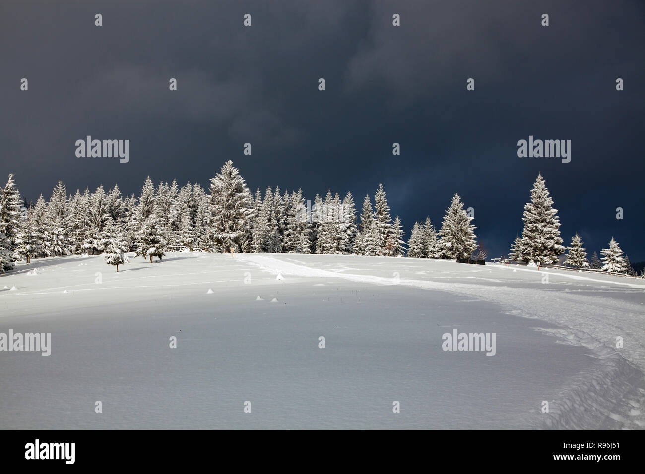 winter in the mountains - snow covered fir trees - Christmas background ...