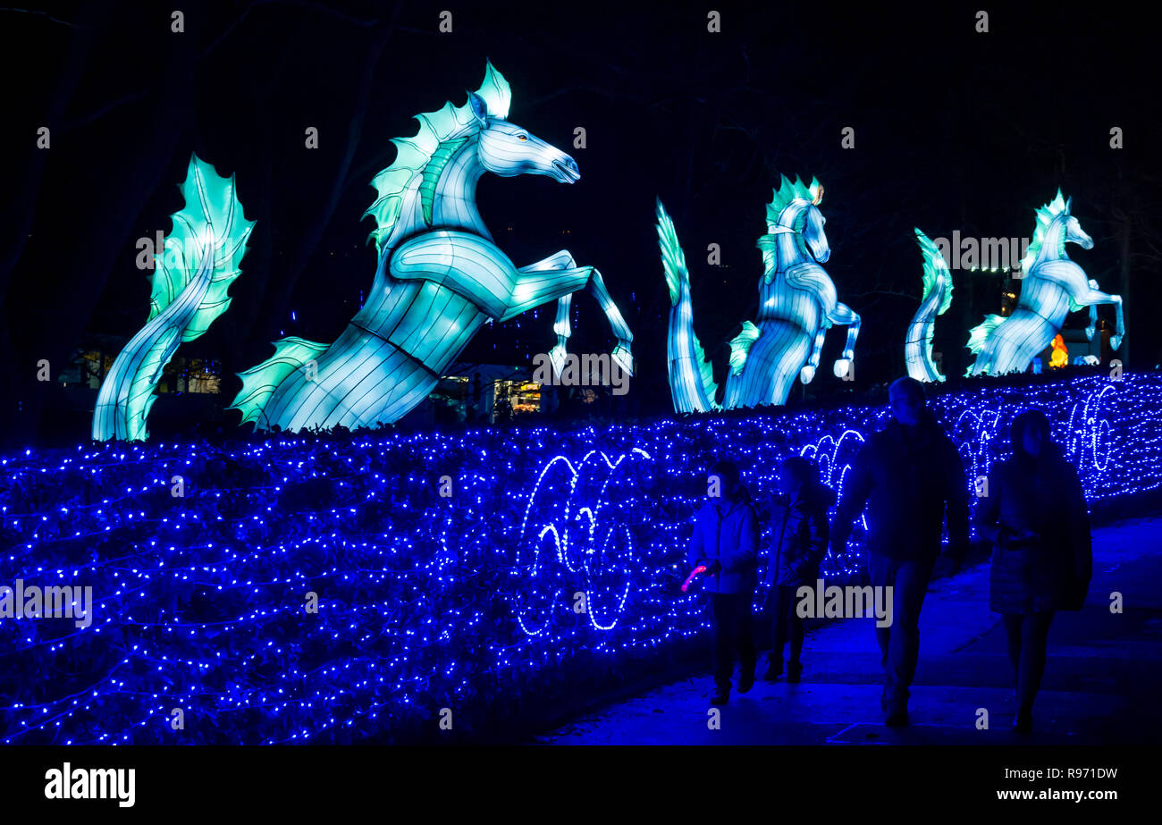 Edinburgh Zoo, Edinburgh, Scotland, United Kingdom, 20th December 2018. Giant Lanterns of China display at the zoo with colourful lantern displays of animals and mythical creatures lighting a magical trail through the Zoo over Christmas. Rearing horses Stock Photo