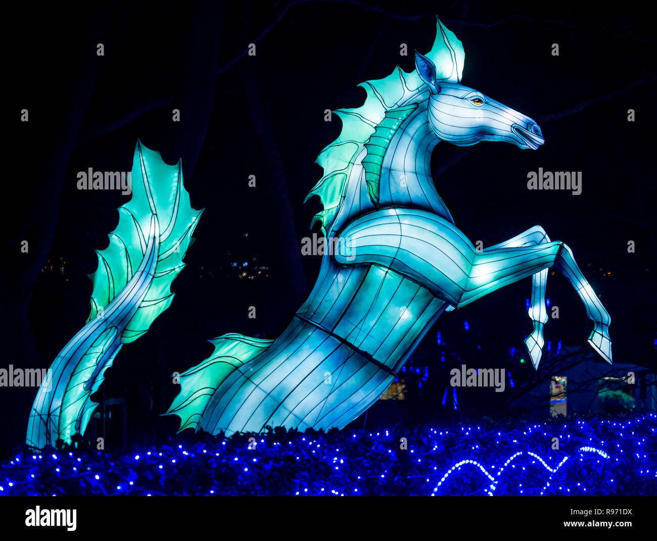 Edinburgh Zoo, Edinburgh, Scotland, United Kingdom, 20th December 2018. Giant Lanterns of China display at the zoo with colourful lantern displays of animals and mythical creatures lighting a magical trail through the Zoo over Christmas. A rearing horse Stock Photo