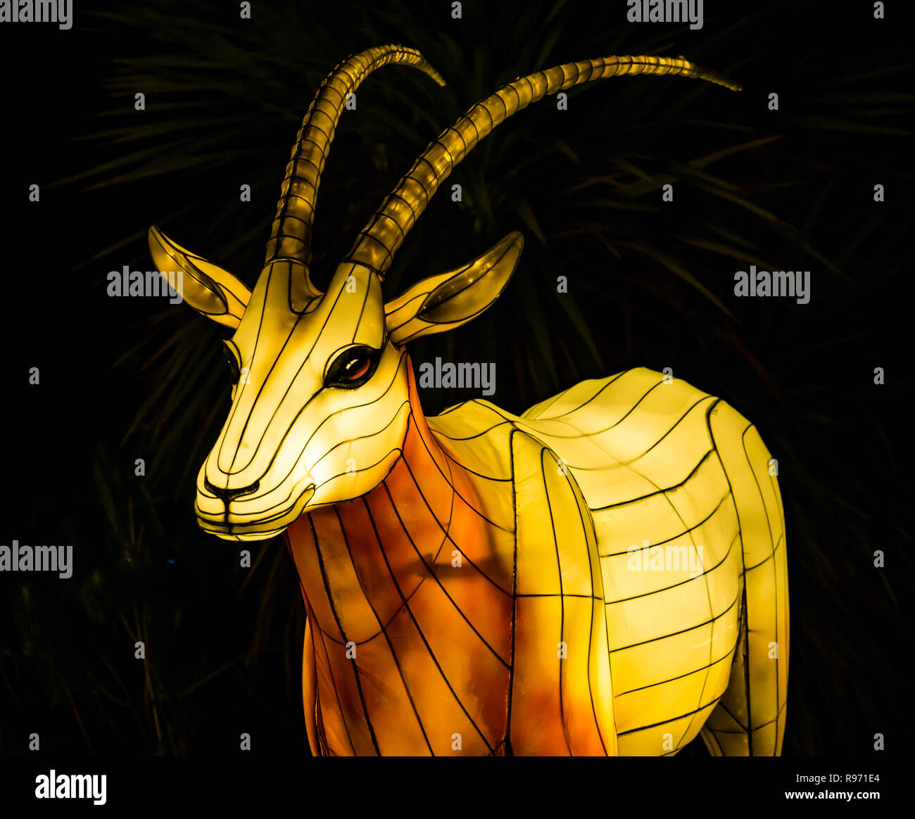 Edinburgh Zoo, Edinburgh, Scotland, United Kingdom, 20th December 2018