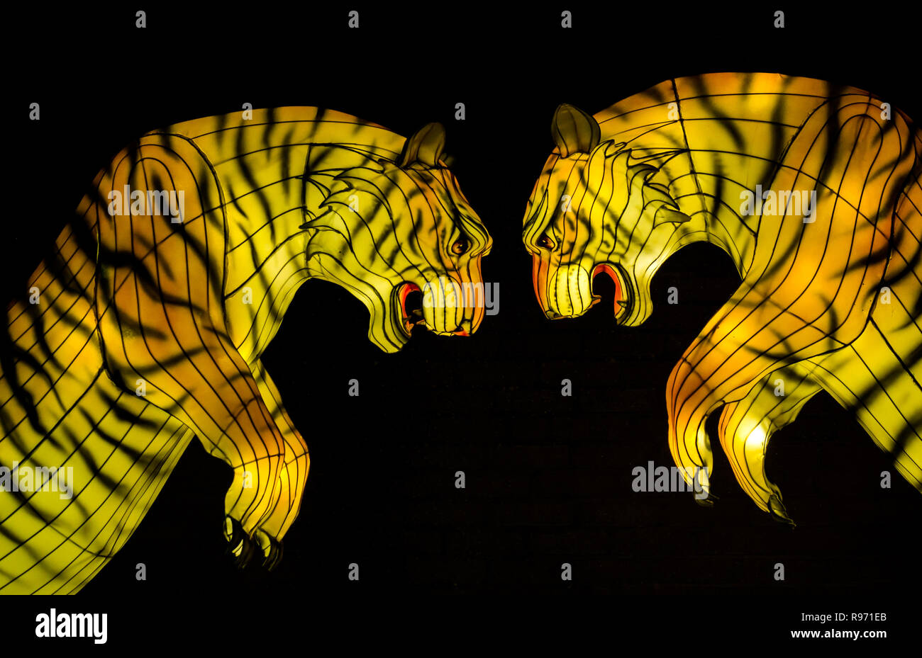 Edinburgh Zoo, Edinburgh, Scotland, United Kingdom, 20th December 2018