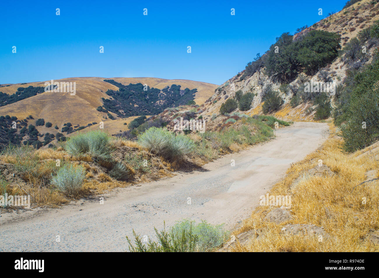Dirt and gravel road leading through the mountain wilderness of