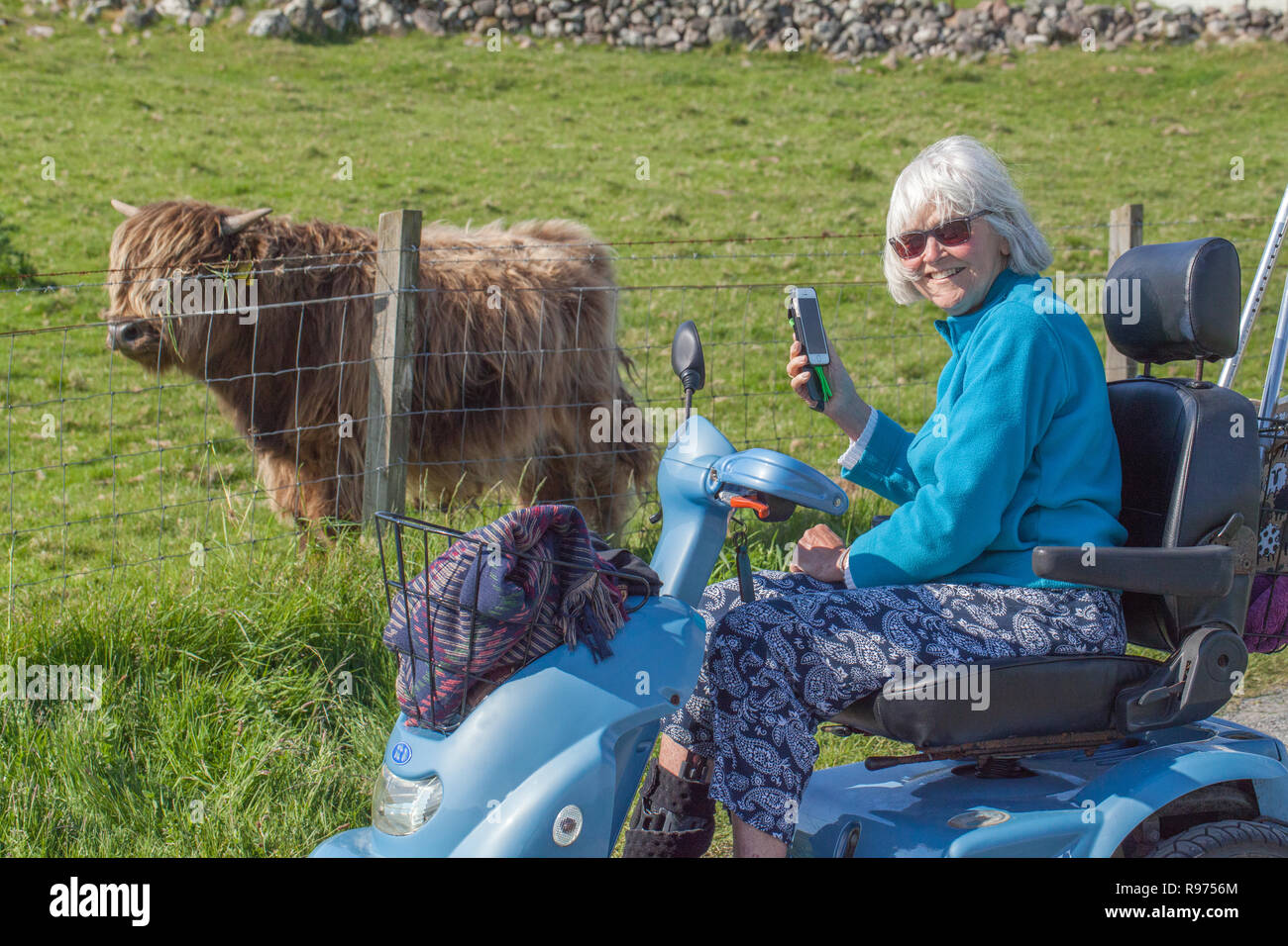 Senior Citizen with physical difficulties, able to access rural environment, including a highland cow, with the provision of electric mobility vehicle or 'buggy'. The Island of Iona. The inner Hebrides. Scotland. Stock Photo