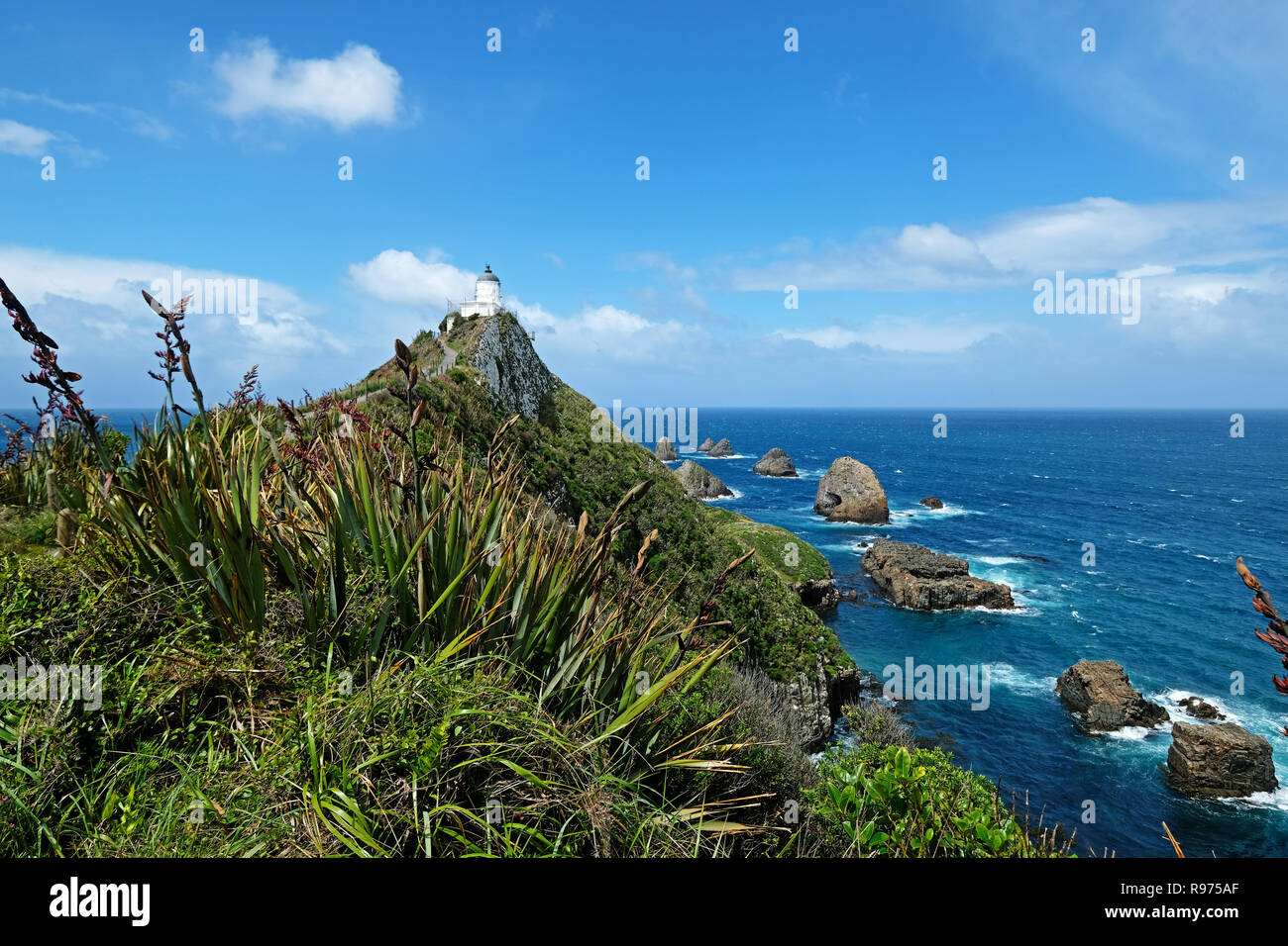 Nugget Point Lighthouse in New Zealand Stock Photo