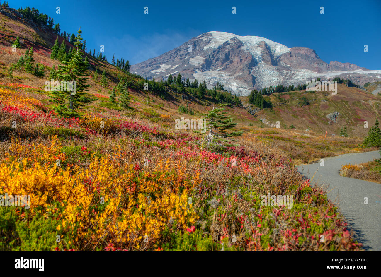 Mount rainier national park fall hi-res stock photography and images ...