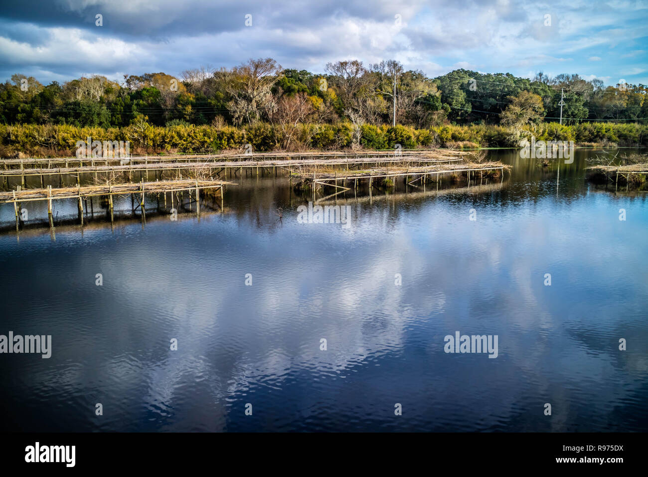 A scenic and peaceful view of the park at Avery Island, Louisiana Stock Photo - Alamy
