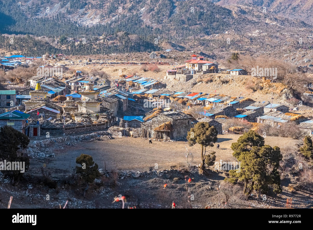 Samagao / Samagaun an ethnically Tibetan village lies on the Manaslu Circuit trekking route in the Nepal Himalaya Stock Photo