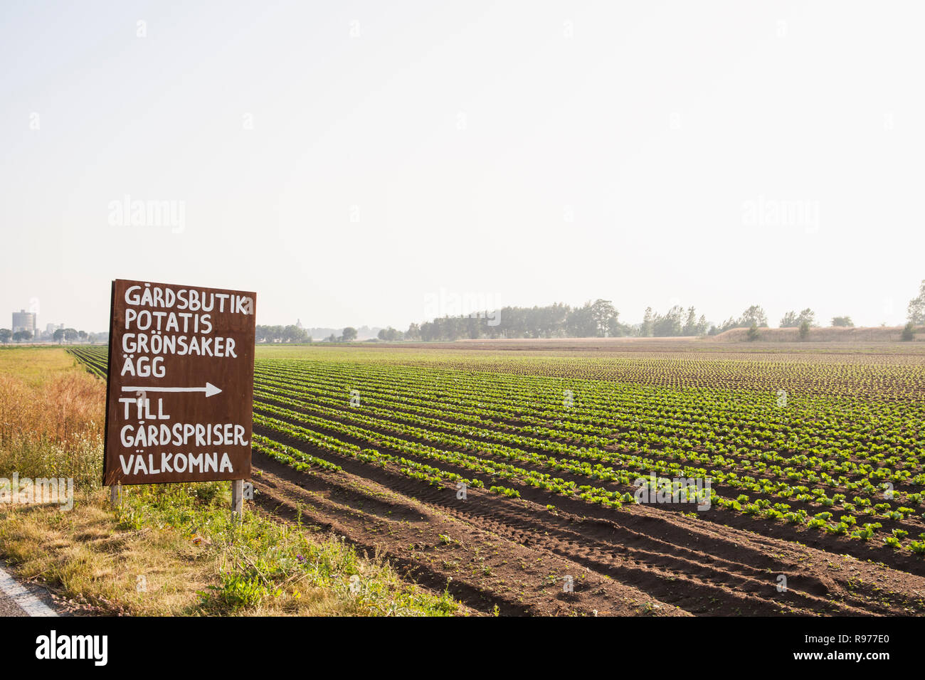 Sign and a field of crops in Lorby, Sweden Stock Photo