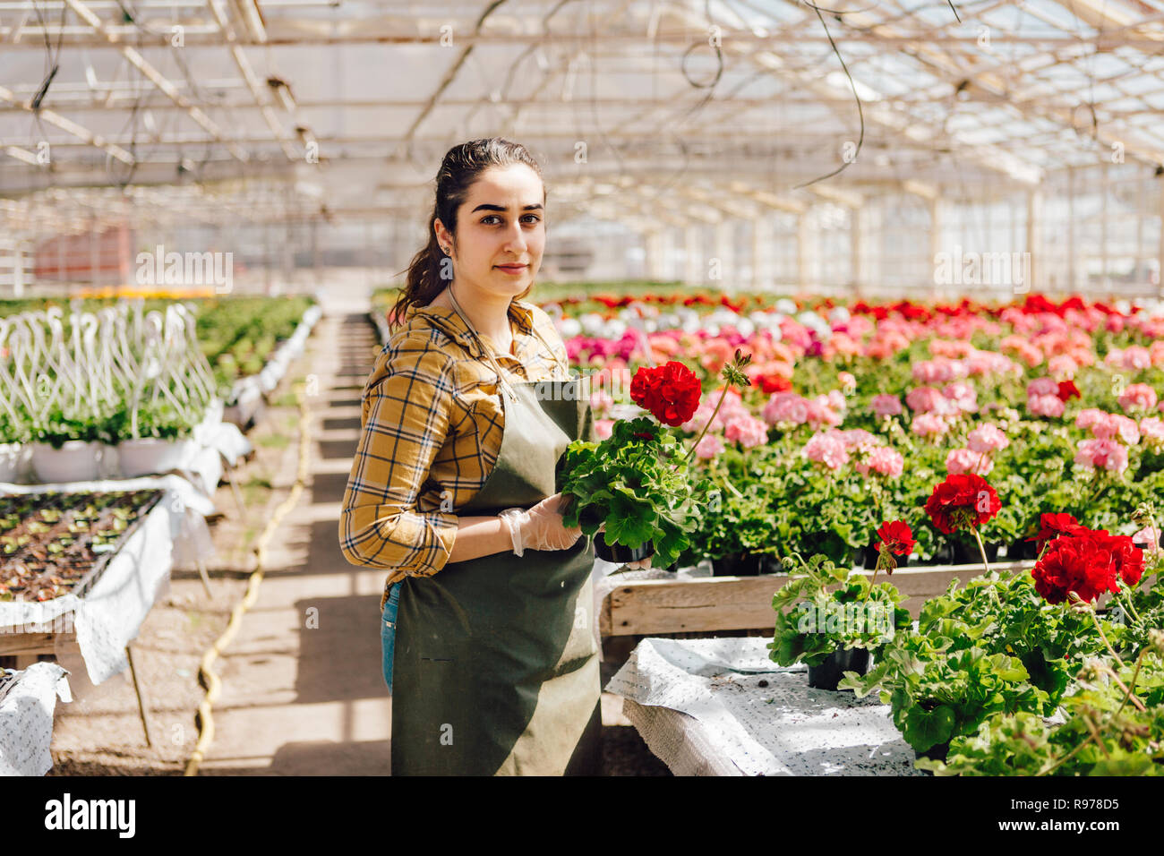 Holding centre hi-res stock photography and images - Alamy