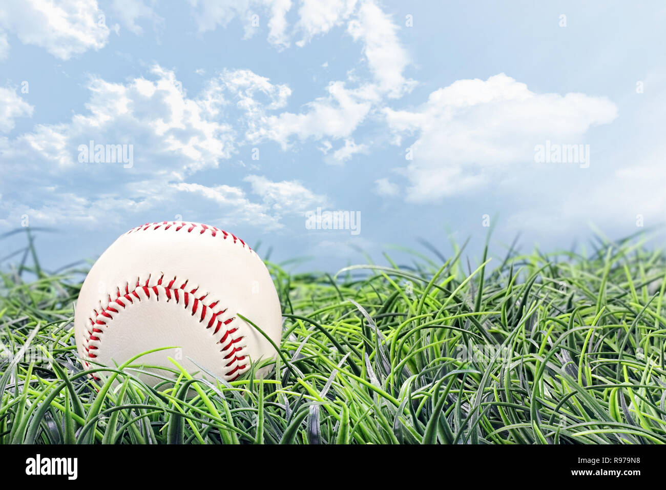 Baseball in lying in the grass on a beautiful summer day. Stock Photo