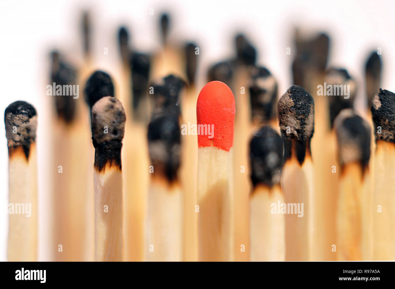 Unused match surrounded by burned matches Stock Photo