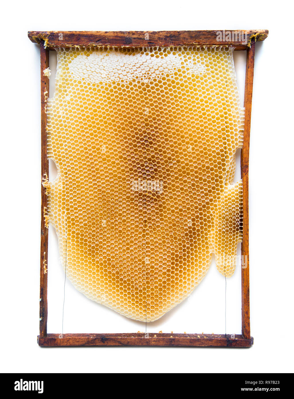 Apiary hive frame with bees wax structure full of fresh bee honey in honeycombs. Isolated on white background Stock Photo