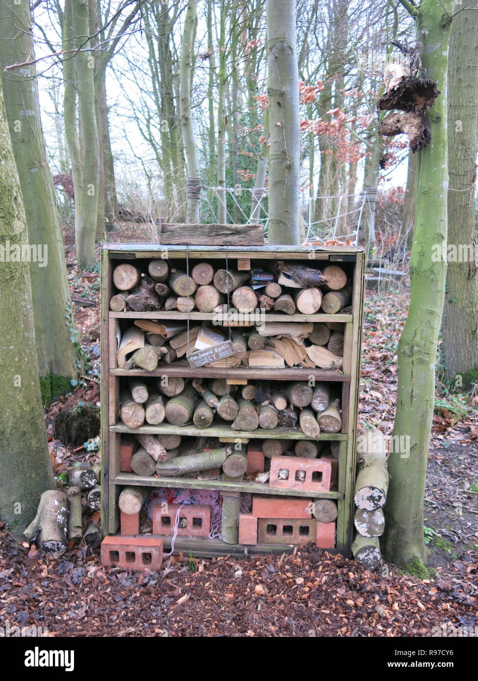 Create a bug hotel for woodland insects out of an old bookcase ...