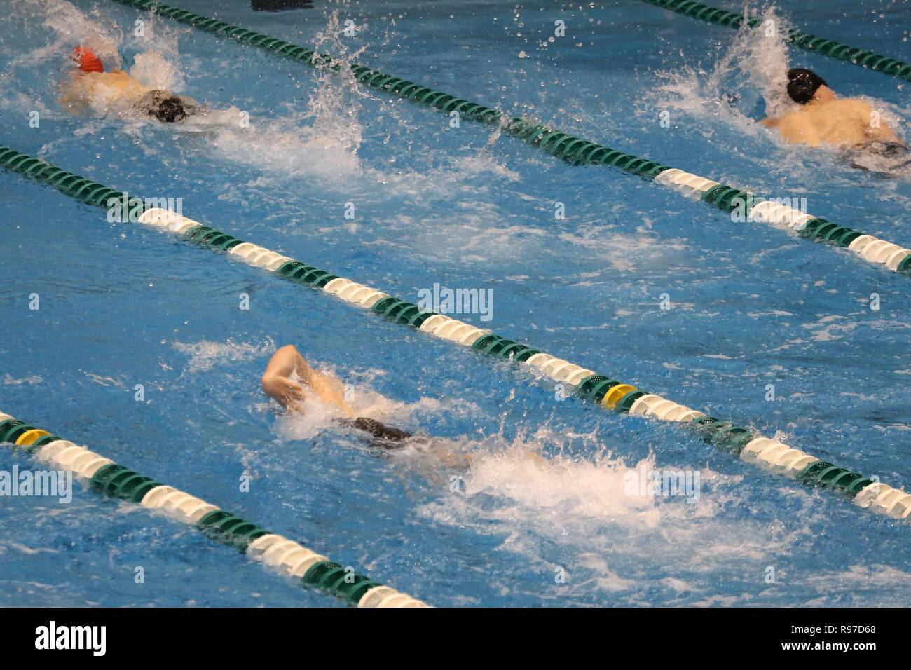 Multiple swimmers racing in the lanes Stock Photo - Alamy