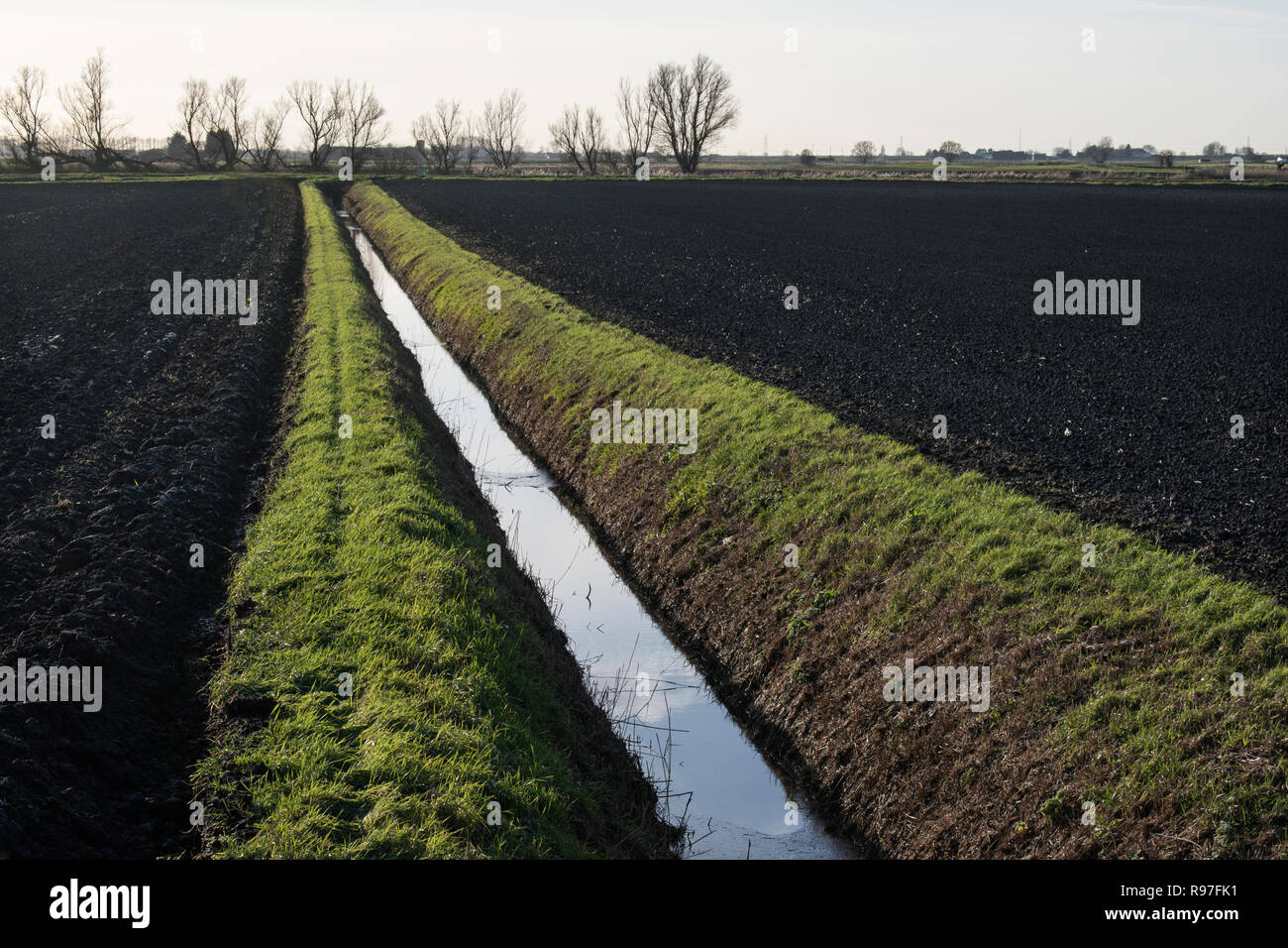 Fens East Anglia fenland landscape a dyke a drainage ditch. 2010s Southerly Norfolk UK 2018 HOMER SYKES Stock Photo