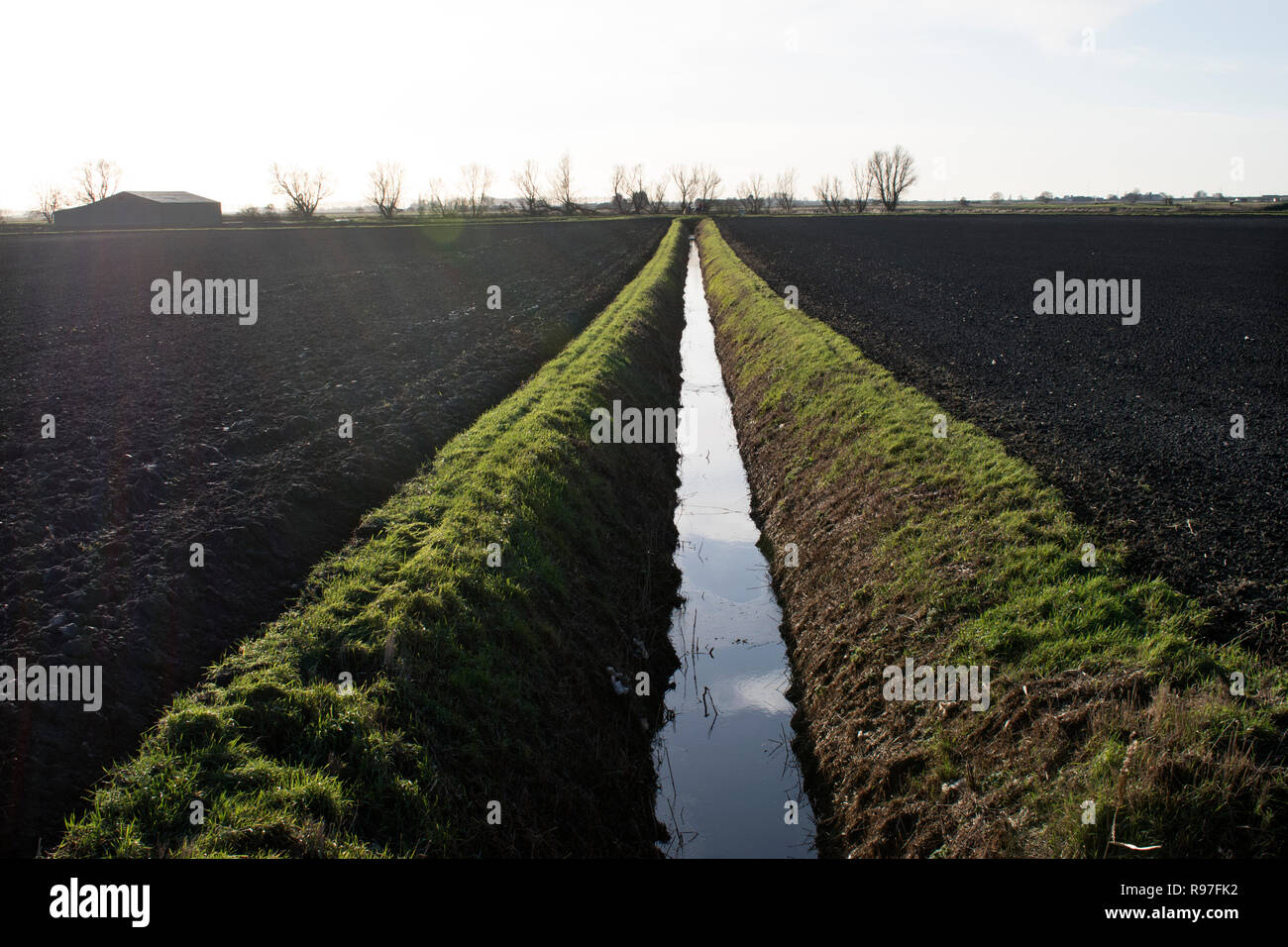 Fens East Anglia fenland landscape a dyke a drainage ditch. 2010s Southerly Norfolk UK 2018 HOMER SYKES Stock Photo