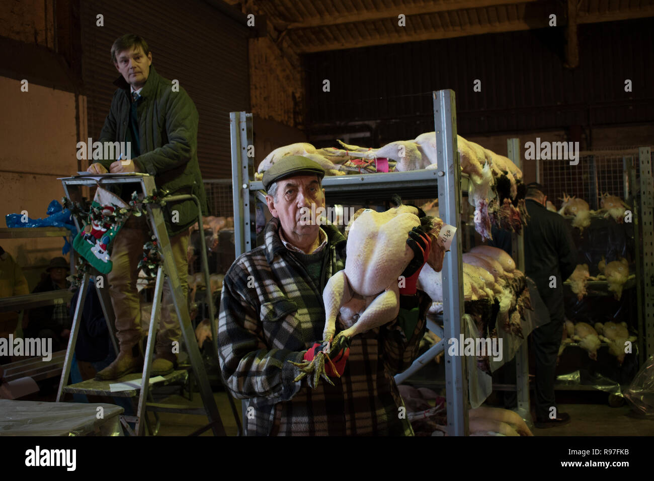 Christmas market and auction of turkeys Norfolk England Uk 2010s. 2018 HOMER SYKES Stock Photo
