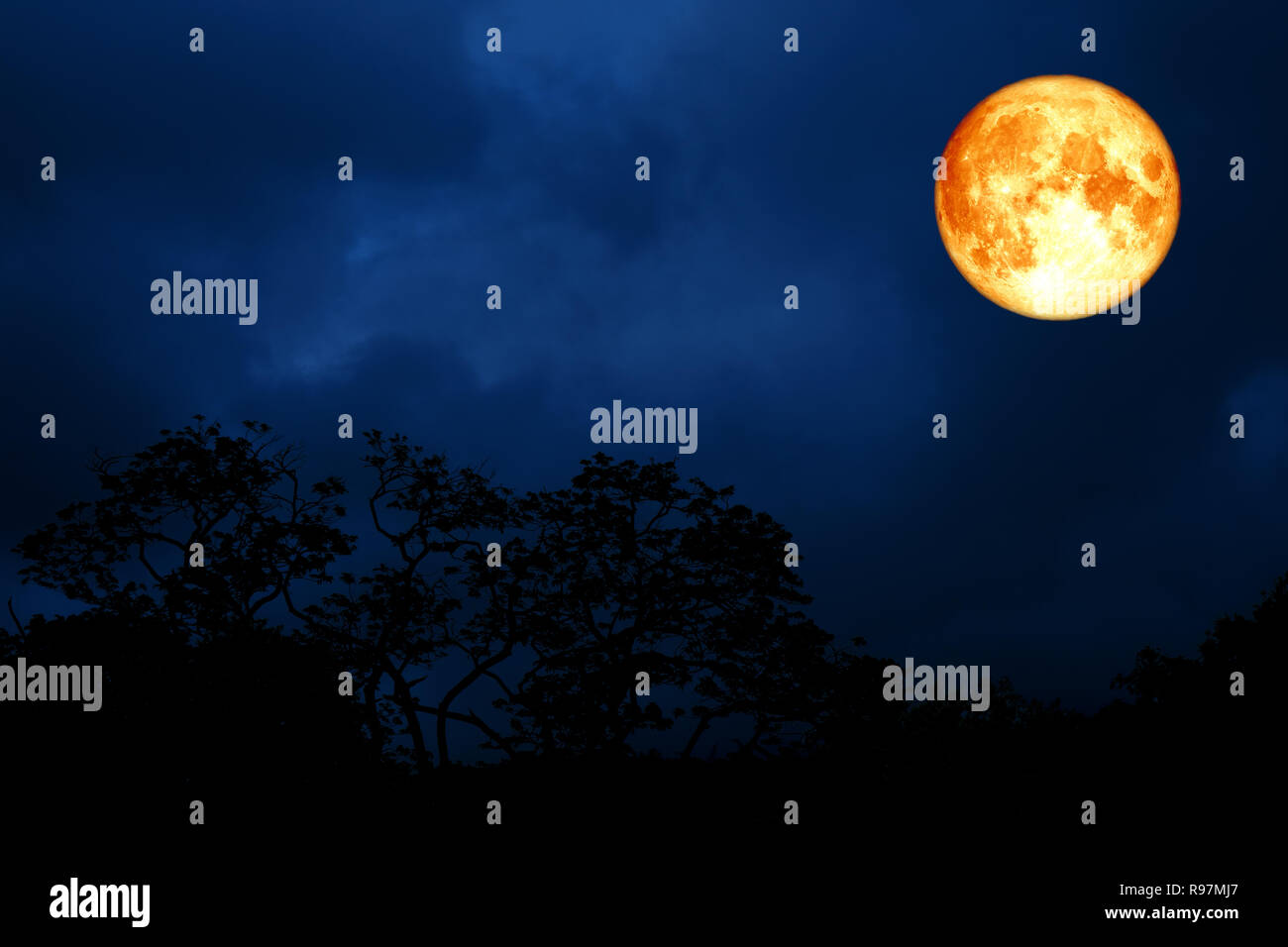 Nasa New Moon Sighting September 2022