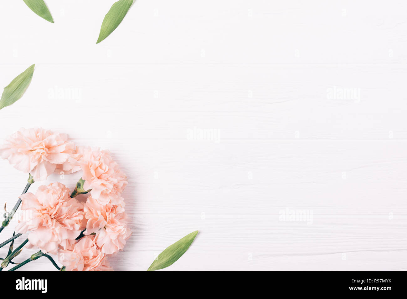 Side flat lay frame of simple delicate pink flowers and green leaves on  white background with copy space, top view Stock Photo - Alamy