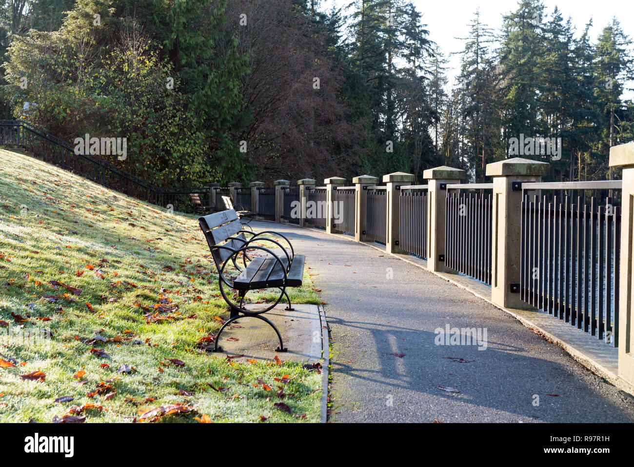 Wood Park Bench, Autumn Morning in Stanley Park, Vancouver, BC, Canada